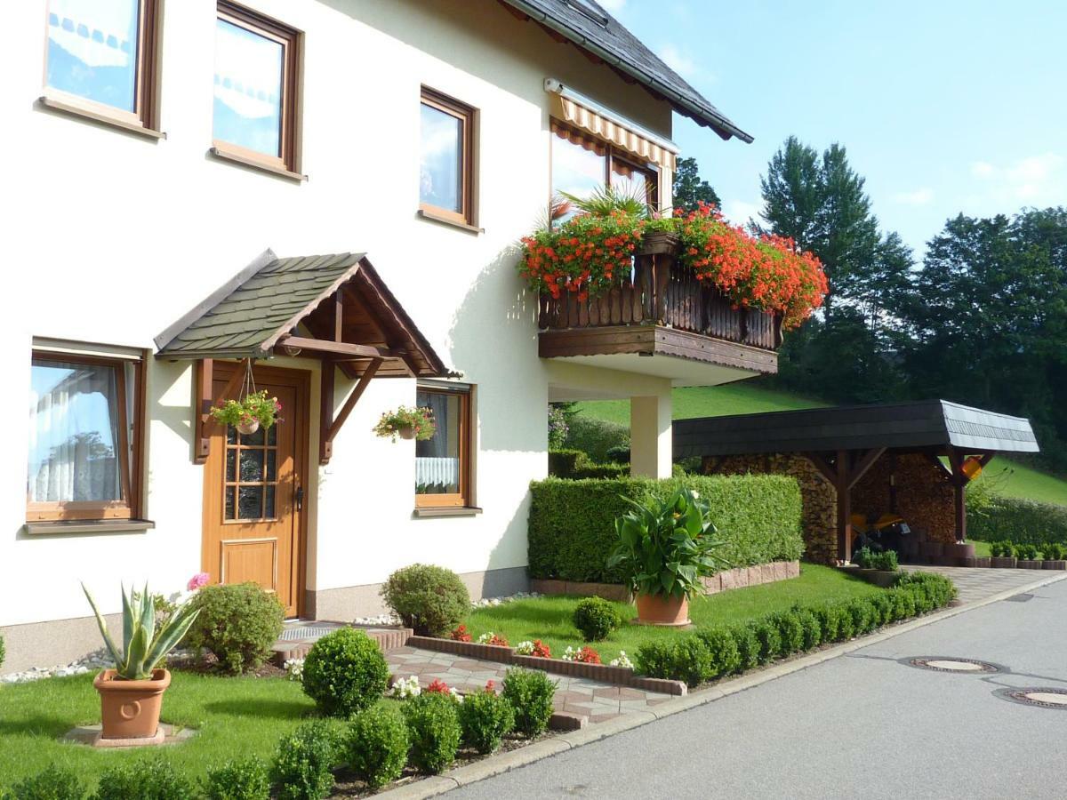Ferienwohnung Edelmann Markersbach Ngoại thất bức ảnh